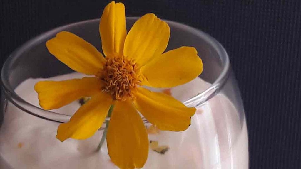 Recette: Mousse aux agrumes et Tagete lemonnii 4 tagete-lemonnii-comestible-mousse-agrume-recette