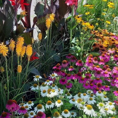 Decoration_vegetale_arc_en_fleurs
