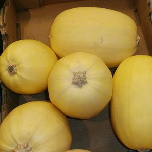 Courge_spaghetti