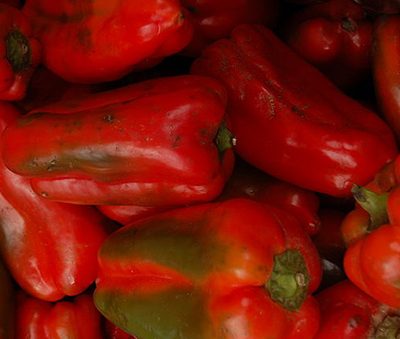 Poivron_rouge