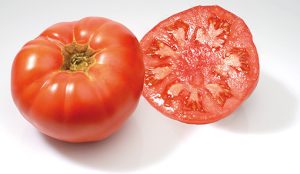 Tomate_Marmande