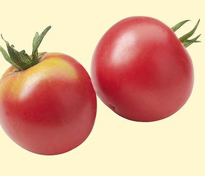 Tomate_rose_de_berne