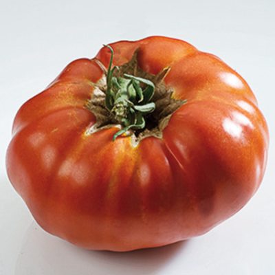 Tomate_russe