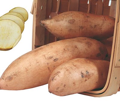 patate_douce_batatas_bonita