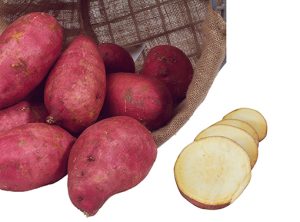patate_douce_batatas_murasaki
