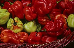 Piments_Antillais